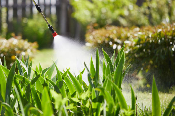 24/7 Emergency Cockroach Control experts in Parkland, FL
